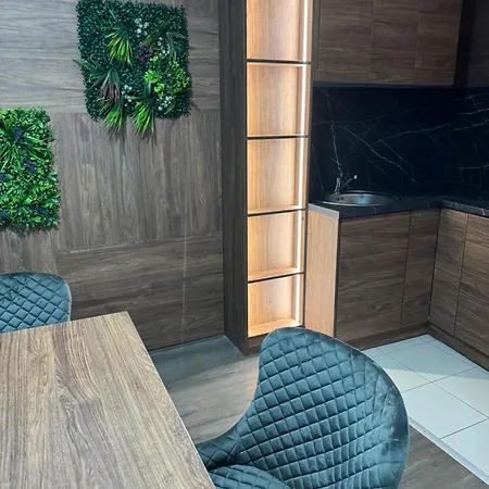 La Апартаменты Ягодина