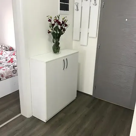 Апартаменты La Ягодина